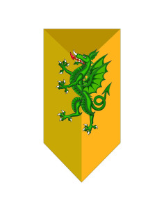 Banner Medievale Drago Verde
