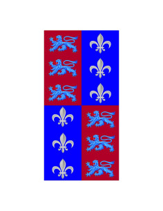 Banner Squartato Lions Fiore del Lys