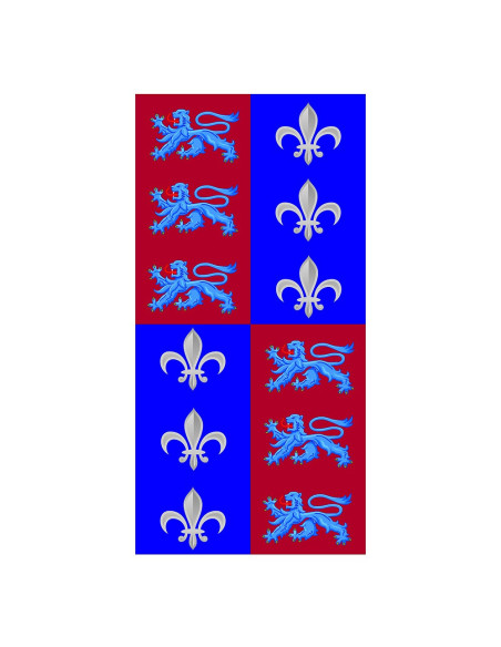 Banner Squartato Lions Fiore del Lys