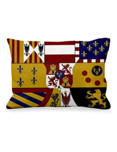 Scudo borbonico a cuscino rettangolare medievale