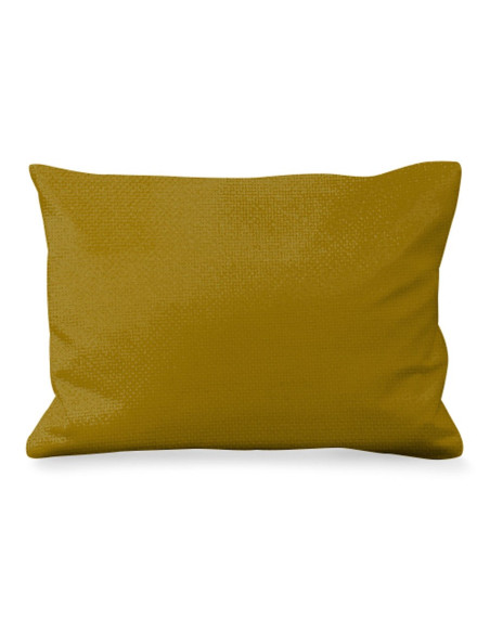 Scudo borbonico a cuscino...