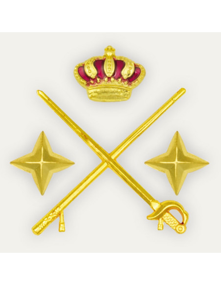 Spallina generale della divisione per...