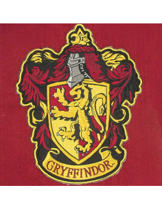 Gryffindor House Wall Banner, Harry Potter 2