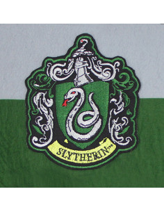 Gagliardetto della Casa Serpeverde, Harry Potter 2