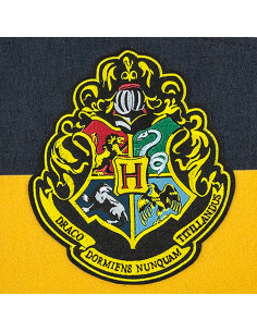 Gagliardetto della scuola di Hogwarts, Harry Potter 2