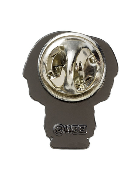 Spilla di Harry Potter