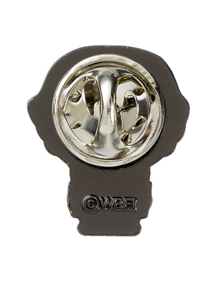 Pin di Ron Weasley, Harry Potter