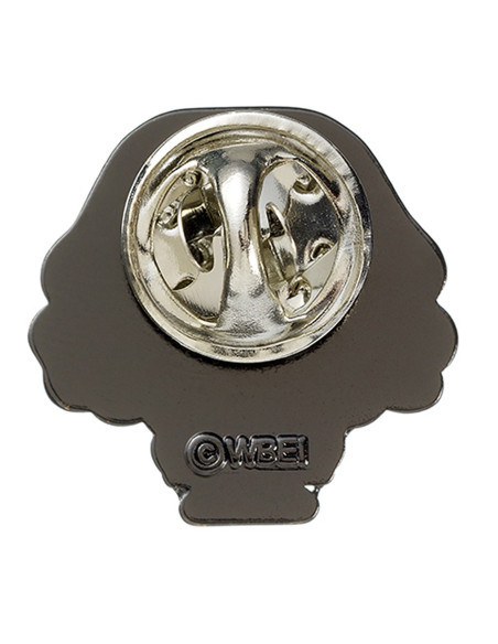 Pin di Hermione Granger, Harry Potter