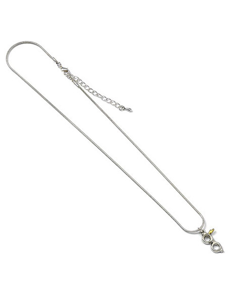 Marchio di Harry Potter e ciondolo...