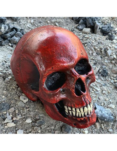 Cranio medio colore rosso