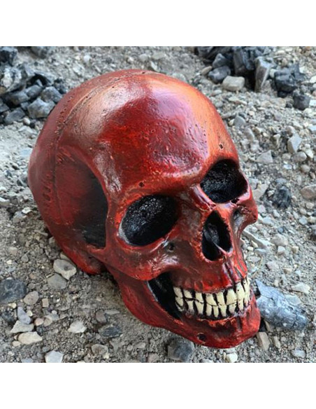 Teschio rosso medio