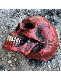 Cranio medio colore rosso