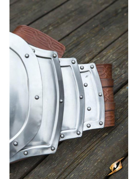 Pancera selvatica in metallo,...