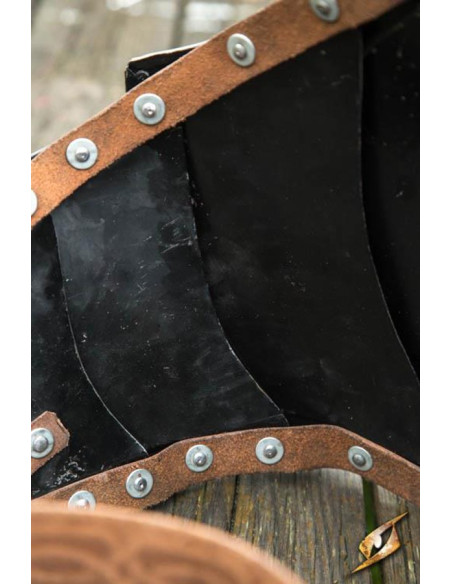 Pancera selvatica in metallo,...