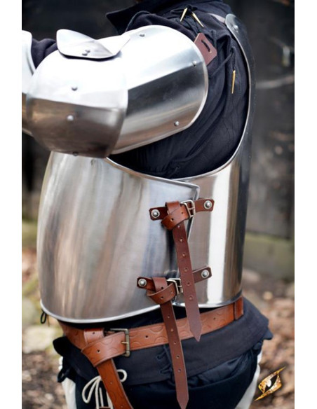 Pettorale Scudiero medievale,...