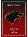 Banner Gioco di Troni della Casa Stark (50x70 cm.)