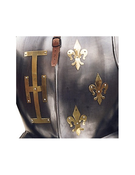 Armatura naturale con scudo e lancia