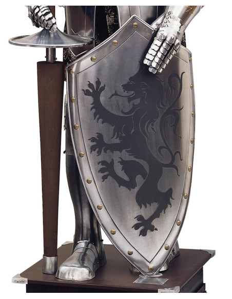 Armatura naturale con scudo e lancia
