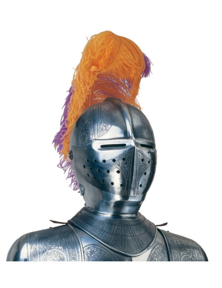 Armatura in argento naturale con incisioni, pennacchio di piume e spada nelle mani