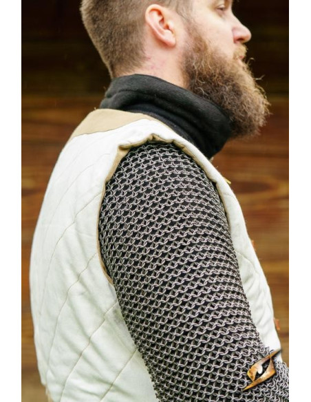 Gambero trapuntato Dastán in...