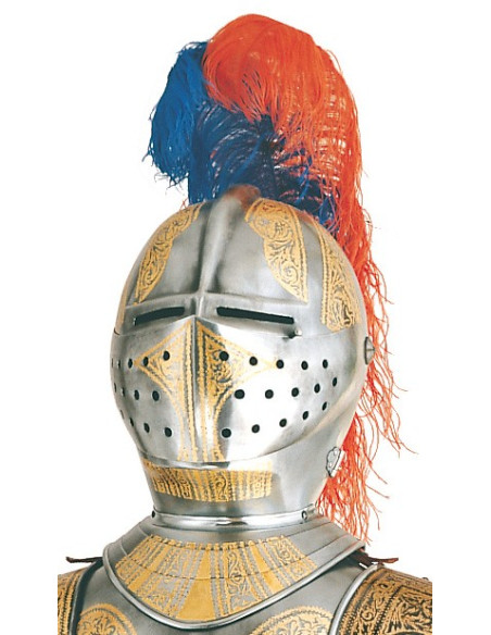 Armatura naturale in argento con incisioni dorate e spada nelle mani