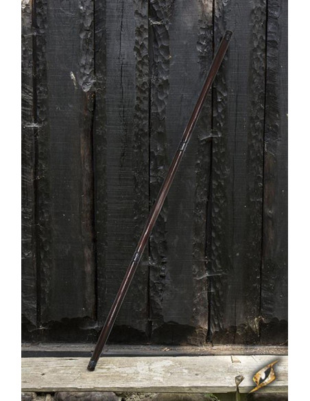 Mago pronto per la battaglia Bastone...