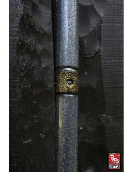 Mago pronto per la battaglia Bastone...