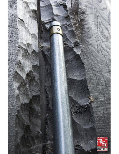 Mago pronto per la battaglia Bastone...