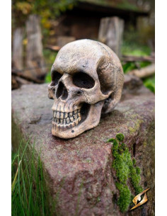 Teschio umano fatto di schiuma