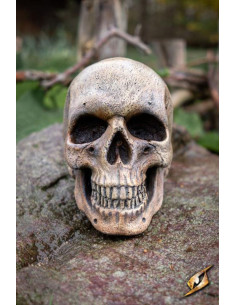 Teschio umano fatto di schiuma 2