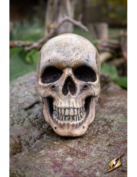 Teschio umano fatto di schiuma