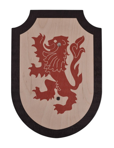 Scudo drago in legno, vari colori