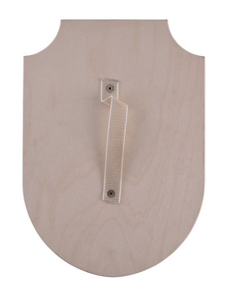 Scudo drago in legno, vari colori