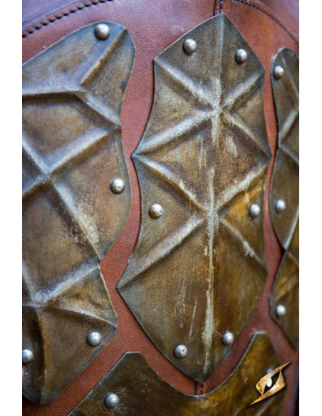 Pettorale e schienale dell'Orco...