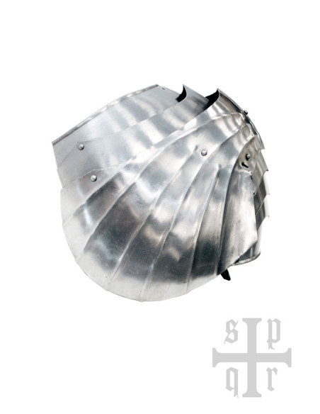 Coppia di Spalline Gotiche in...