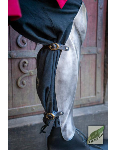 Schinieri delle guardie del palazzo...