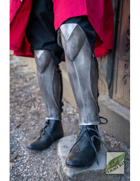 Schinieri delle guardie del palazzo...