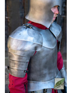 Spallacci delle guardie del palazzo da Epic Armory 2