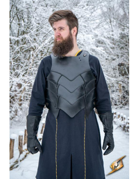 Set di corazza medievale fantasy...