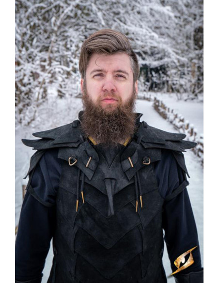 Set completo Shadow Armor in...