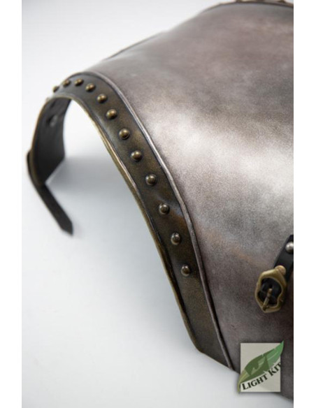 Pettorale completo per Cavaliere...