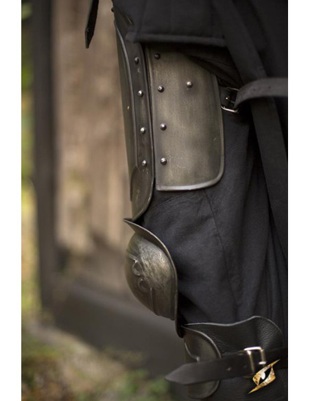 Armatura a gamba intera LARP of the...