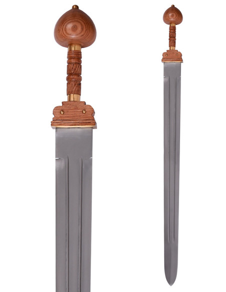 Lunga spatha romana di un legionario... Lunga spatha romana di un legionario...