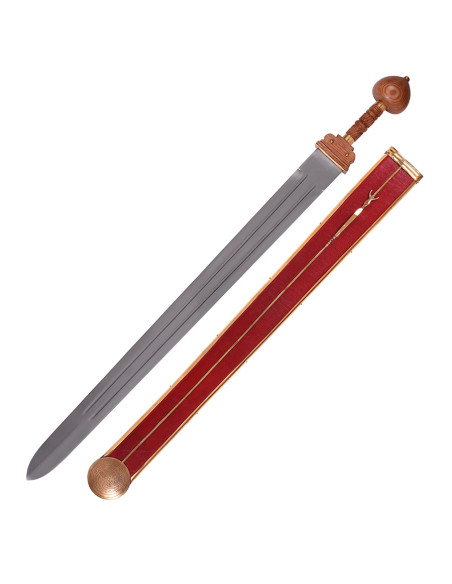 Lunga spatha romana di un legionario... Lunga spatha romana di un legionario...