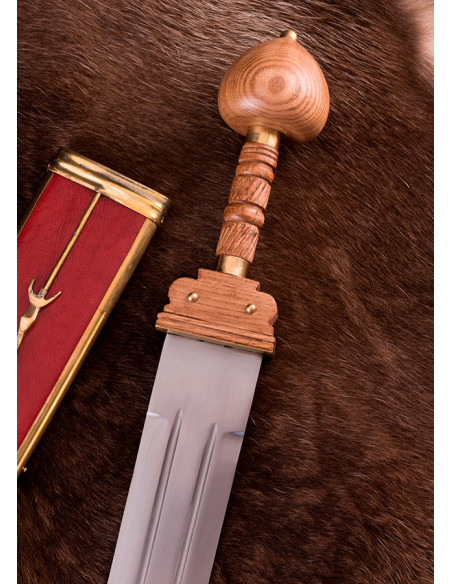 Lunga spatha romana di un legionario... Lunga spatha romana di un legionario...