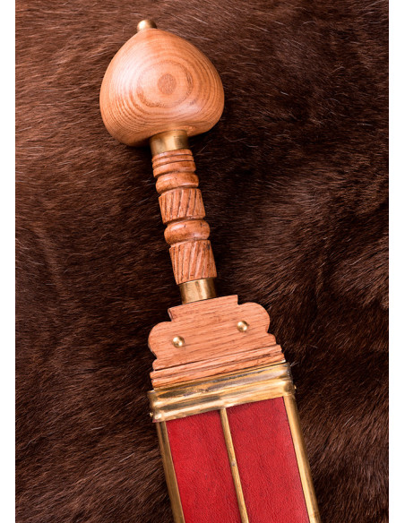 Lunga spatha romana di un legionario... Lunga spatha romana di un legionario...