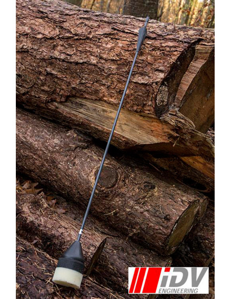 Freccia per tiro con l'arco a testa...