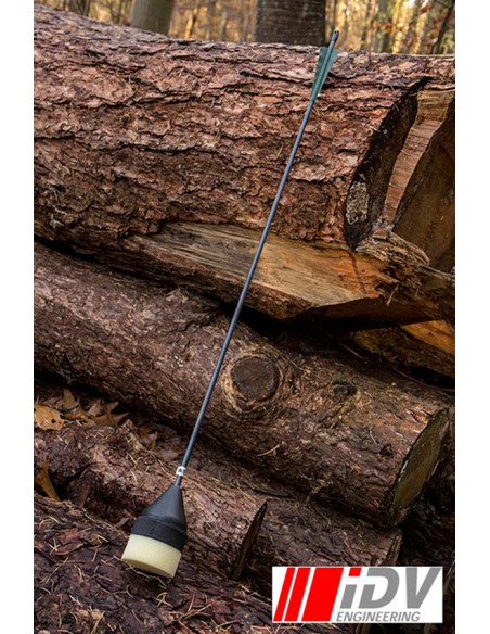 Freccia per tiro con l'arco a testa...