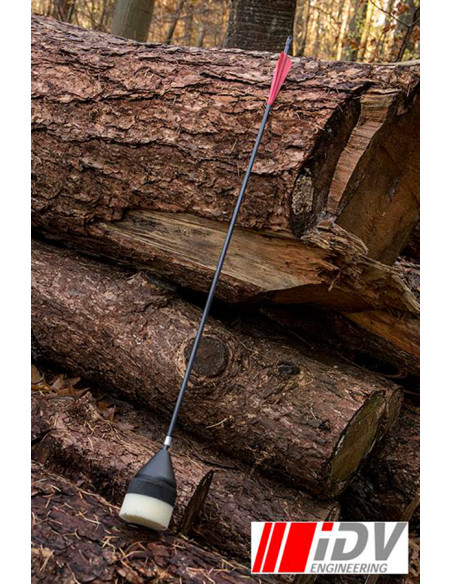 Freccia per tiro con l'arco a testa...