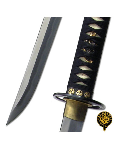 Grande serie di onde katana Tsunami